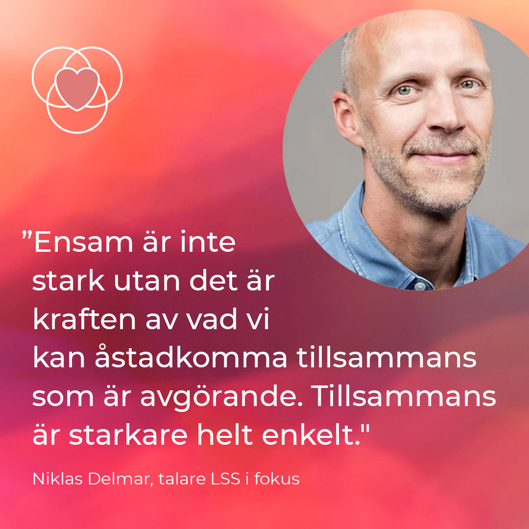 Talare Lssifokus Niklas